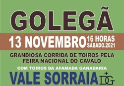  Corrida de Toiros na Feira da Golegã encerra temporada de 2021.